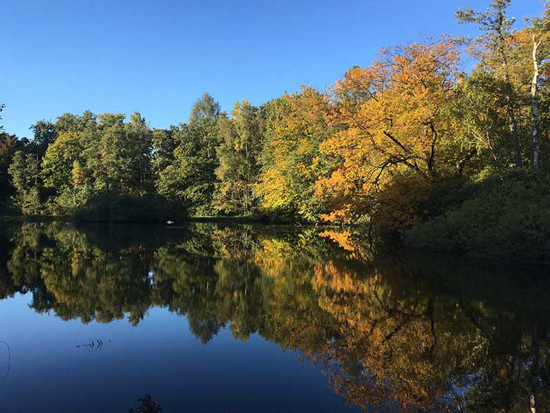 Walk and Talk  -Rausgehen, Kraft tanken, sich neu ausrichten, Lösungen finden.